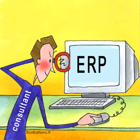 consultant erp